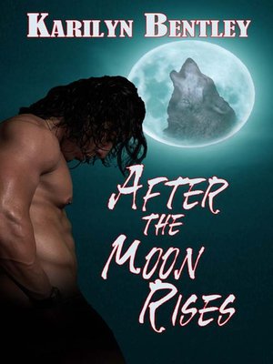 cover image of After the Moon Rises
